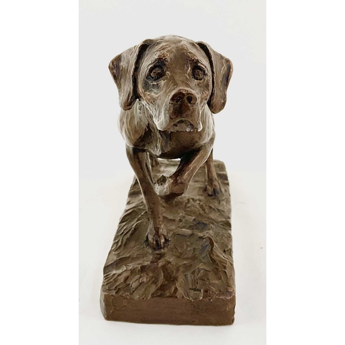 98 - Mary Beattie Scott (British, 20th Century), a study of a Pointer, signed in the cast, bronzed resin,... 