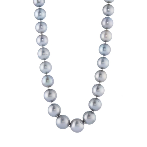 233 - A Tahitian cultured pearl single-strand necklace, with spherical push piece clasp, together with a p... 