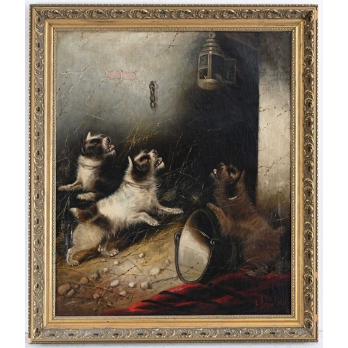 337 - George Armfield (British, 1808-1893), Terriers Ratting, signed l.r., oil on canvas, 75 by 62cm, fram... 