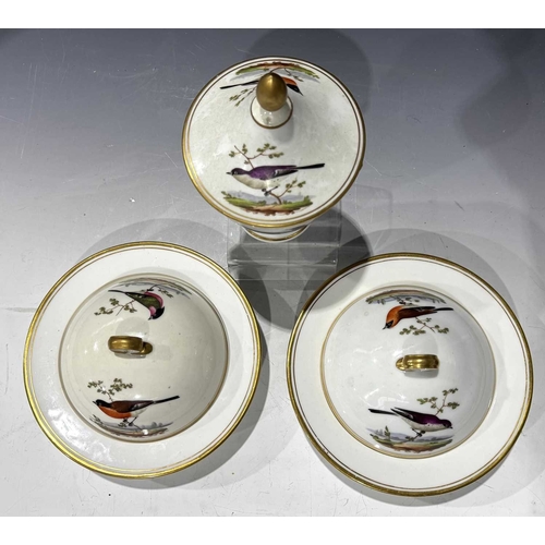 108 - A matched set of Meissen dinner plates, each painted with ornithological studies, insects and butter... 