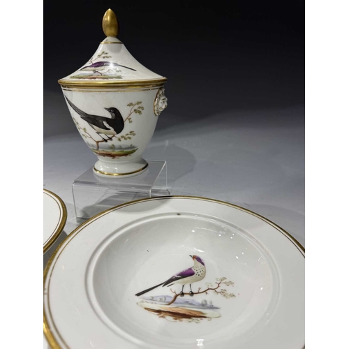 108 - A matched set of Meissen dinner plates, each painted with ornithological studies, insects and butter... 