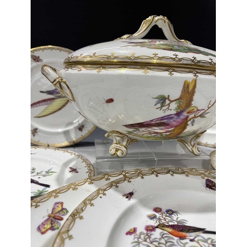 108 - A matched set of Meissen dinner plates, each painted with ornithological studies, insects and butter... 