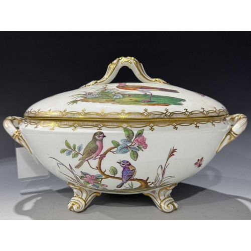 108 - A matched set of Meissen dinner plates, each painted with ornithological studies, insects and butter... 