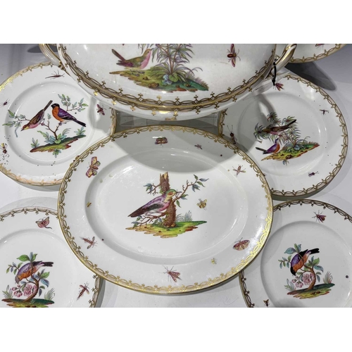 108 - A matched set of Meissen dinner plates, each painted with ornithological studies, insects and butter... 