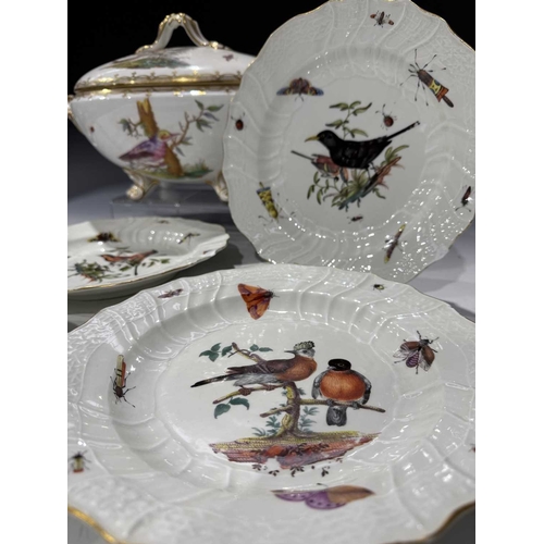 108 - A matched set of Meissen dinner plates, each painted with ornithological studies, insects and butter... 