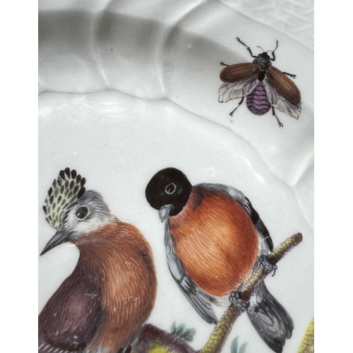 108 - A matched set of Meissen dinner plates, each painted with ornithological studies, insects and butter... 