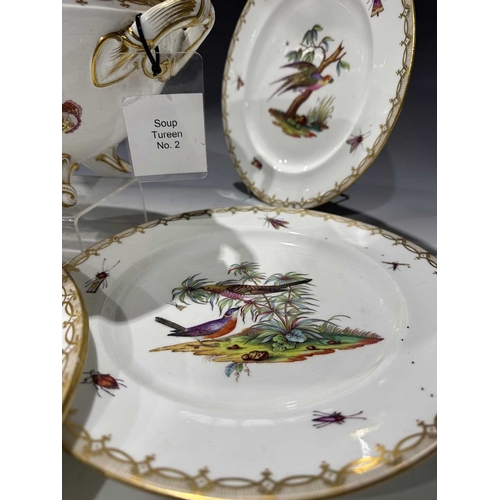 108 - A matched set of Meissen dinner plates, each painted with ornithological studies, insects and butter... 