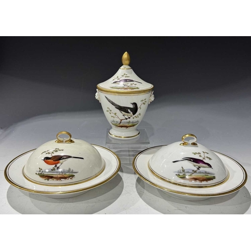 108 - A matched set of Meissen dinner plates, each painted with ornithological studies, insects and butter... 