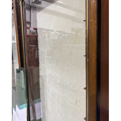 386 - Two wooden framed, glazed, model or display cabinets with glass shelves 96 by 65cm, 95 by 49cm (2)