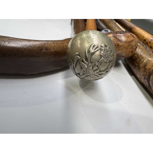 137 - Five walking sticks, hazel and bamboo shafts, one with yellow metal cuff, 88cm long and a swagger st... 