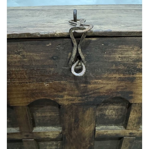 280 - A wooden two plank grain store, Tamang, North West Nepal, the chest ornamented with a relief grid bo... 