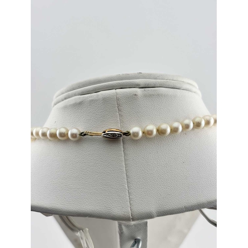 336 - A cultured pearl necklace, clasp stamped 585