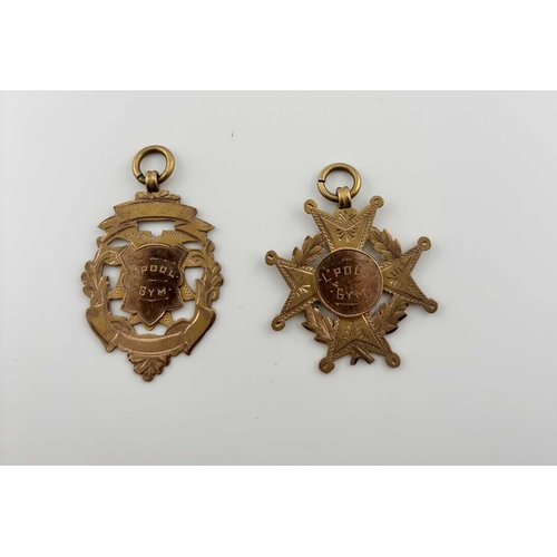 451 - Two early 20th century 9ct gold medals, hallmarks for William Hair Haseler, Birmingham 1915, lengths... 