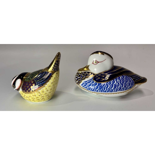 77 - A collection of Crown Derby Imari paperweights, to include: a 'Duck' a 'Hedgehog', a 'Blue Tit' LIX,... 