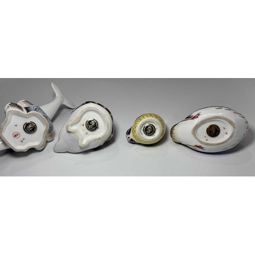 77 - A collection of Crown Derby Imari paperweights, to include: a 'Duck' a 'Hedgehog', a 'Blue Tit' LIX,... 