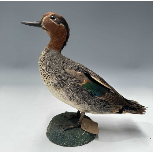 Lot 283       