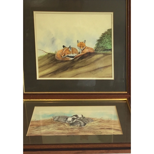 329 - A pair of Richard Willett watercolours: 'Young Foxes' and 'Badger Cubs', signed and dated 1992, fram... 