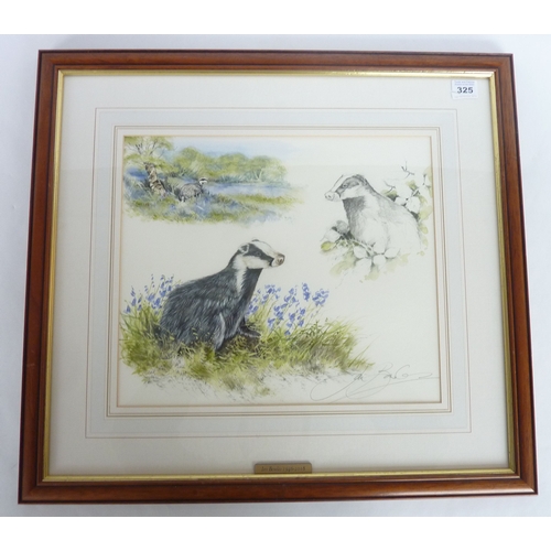 325 - Ian Bowles (1946-2018), a framed and glazed watercolour study, 'Badgers'; signed lower-right