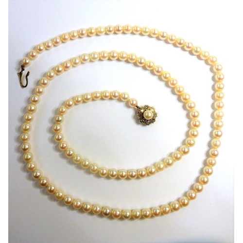 335 - A cultured pearl necklace; cultured pearls measuring 6.0mm to 6.4mm in diameter to the 9-carat yello... 