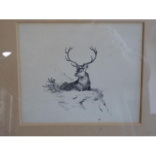 662 - ARCHIBALD THORBURN (1860-1935), a gilt-framed and glazed title page ink sketch for 'British Mammals'... 