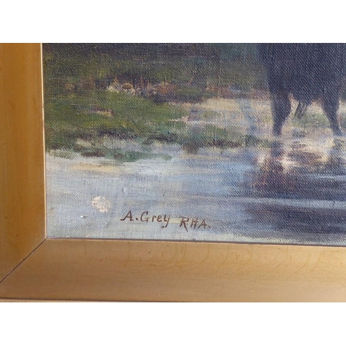 665 - Alfred GREY R.H.A. (Irish, 1845-1926); a large gilt-framed oil on canvas 'Cattle Watering', signed A... 