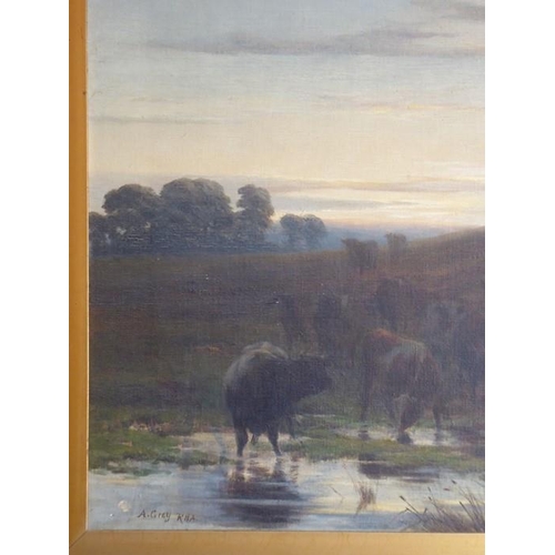 665 - Alfred GREY R.H.A. (Irish, 1845-1926); a large gilt-framed oil on canvas 'Cattle Watering', signed A... 