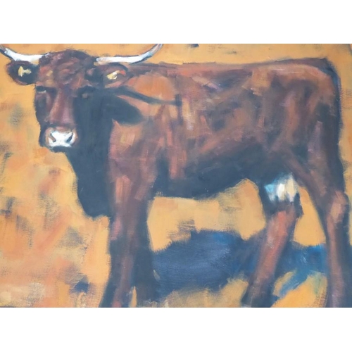 668 - K (KATHARINE) LIGHTFOOT (b 1972, Devon artist), a large box-framed oil on canvas study 'Cow against ... 