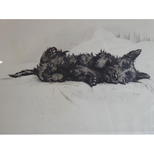 702 - LUCY DAWSON; an original ebonised framed and glazed monochrome etching; 'Naughty, Naughty' title low... 