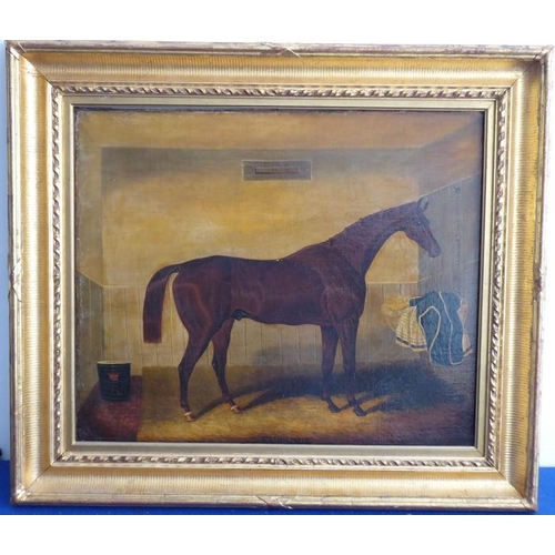 716 - Samuel SPODE (1798-1872); a gilt-framed oil on canvas study 'Favonius' (Winner of the Epsom Derby in... 