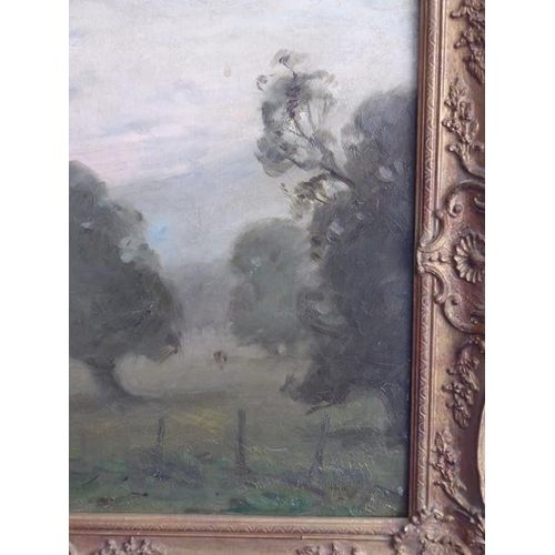 736 - EDOUARD CHAPPEL (Belgian, 1859 - 1946), a gilt-framed oil on canvas 'Morning Mist', a landscape with... 