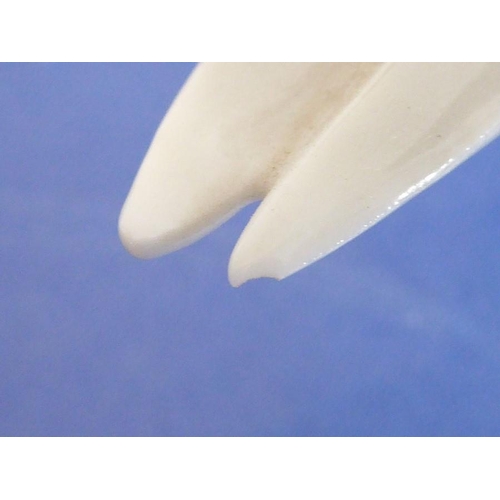 27 - Four pieces of Lladro porcelain; a matched pair of swans (approx. 22cm high), another swan furling i... 