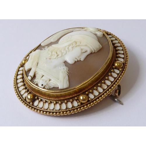 223 - A mid 19th century cameo, yellow gold and enamel brooch, the oval shell cameo depicting the head and... 