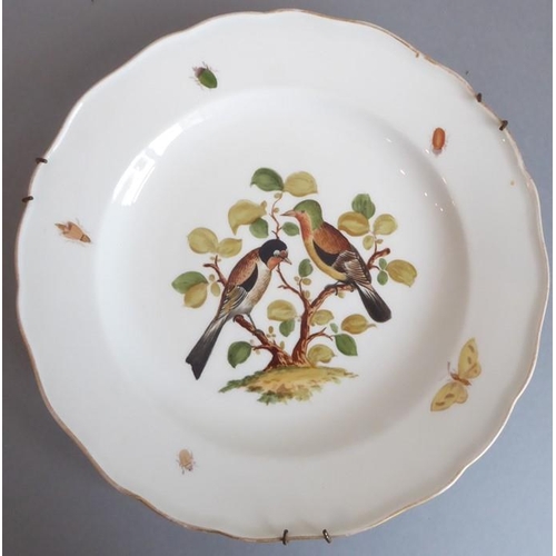 45 - A long and rare set of 36 late 19th century Meissen porcelain dishes; each with shaped gilded border... 