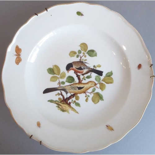 45 - A long and rare set of 36 late 19th century Meissen porcelain dishes; each with shaped gilded border... 