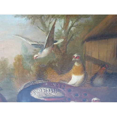 494 - Marmaduke Cradock (British 1660-1716) - a pair of oils on canvas: 'Peacock and Chickens in a Farmyar... 