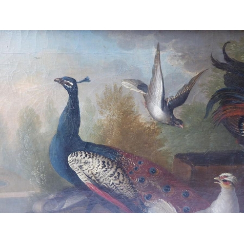 494 - Marmaduke Cradock (British 1660-1716) - a pair of oils on canvas: 'Peacock and Chickens in a Farmyar... 