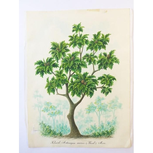 538 - MOHAMED ANWAR - The original artwork for ‘A Garden of Eden – Plant Life in South-East Asia’ by Wendy... 