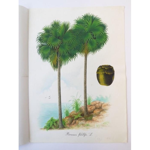 572 - MOHAMED ANWAR - The original artwork for ‘Riches of the Rain Forest - Trees and Fruits of the Indone... 