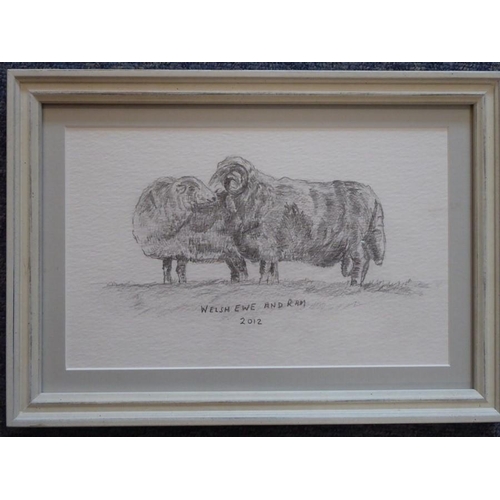 578 - Welsh Contemp. School, Study of a Welsh Ewe and her Lamb, Insc. & dated 2012, Watercolour en grisail... 