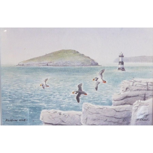 586 - Philip Snow (Welsh Contemp.), A miniature study of ‘Puffin Island’, Signed watercolour, 3 x 41/4 ins... 