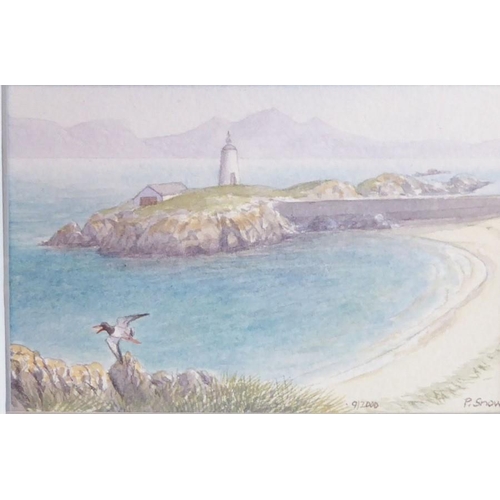 586 - Philip Snow (Welsh Contemp.), A miniature study of ‘Puffin Island’, Signed watercolour, 3 x 41/4 ins... 