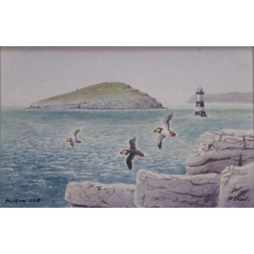 586 - Philip Snow (Welsh Contemp.), A miniature study of ‘Puffin Island’, Signed watercolour, 3 x 41/4 ins... 