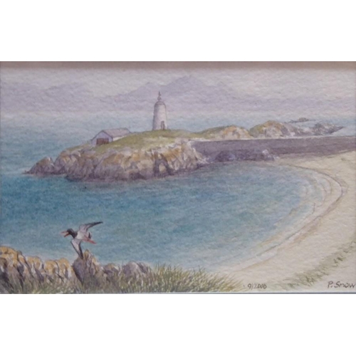 586 - Philip Snow (Welsh Contemp.), A miniature study of ‘Puffin Island’, Signed watercolour, 3 x 41/4 ins... 