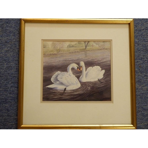 594 - Elena Williams (contemp.), Study of a Hen Lapwing sitting upon her clutch, Signed & dated 24.IV.03, ... 