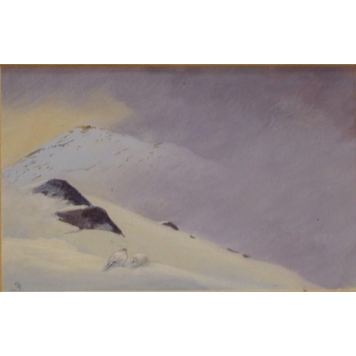 600 - Philip Rickman (1891-1982) - Ptarmigan in a Winter Landscape, Init. gouache, 3 ¼ x 5 ins (8 x 13 cms... 