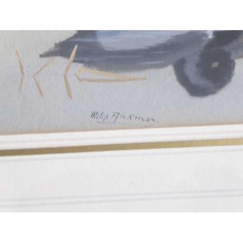 604 - Philip Rickman (1891-1982) - Signed study of a pair of ring-necked duck. Watercolour and gouache, 6 ... 