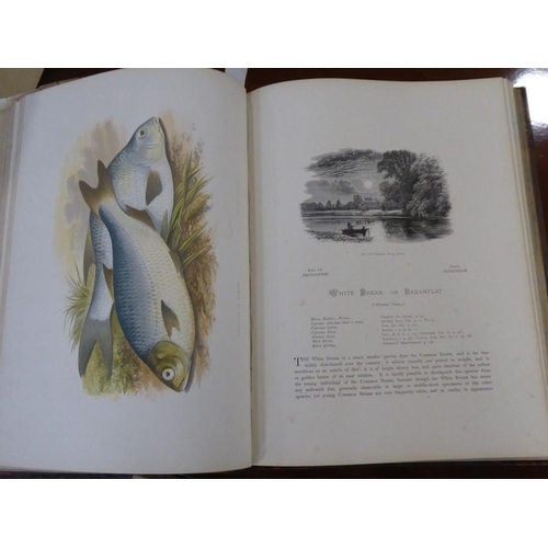 663 - A part-leather bound hardback volume 'British Fresh-Water Fishes' by The Rev. W. Houghton M.A.F.L.S.... 