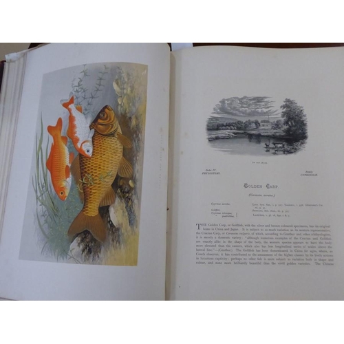 663 - A part-leather bound hardback volume 'British Fresh-Water Fishes' by The Rev. W. Houghton M.A.F.L.S.... 