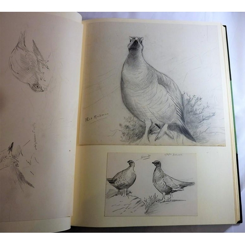 667 - PHILIP RICKMAN (1891-1982) - 'Bird Paintings and Sketches'. A large part-leather-bound folio contain... 