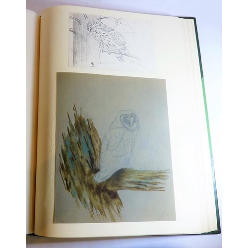 667 - PHILIP RICKMAN (1891-1982) - 'Bird Paintings and Sketches'. A large part-leather-bound folio contain... 